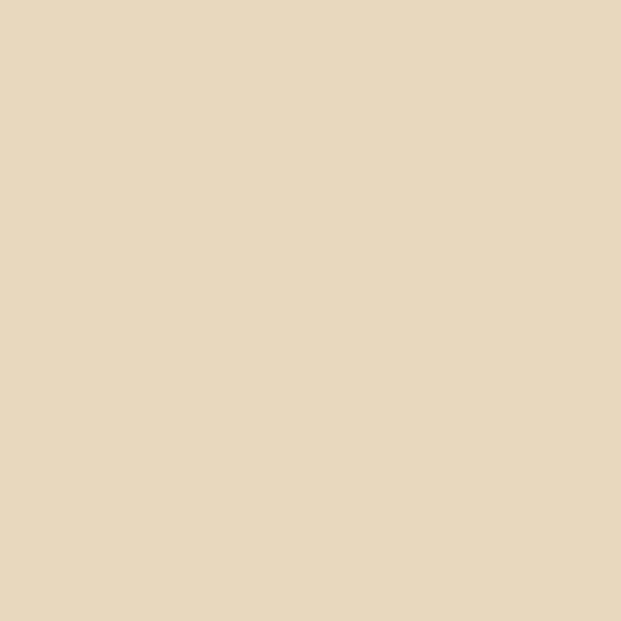 Rollputz FEIN 24 kg Steppen-Beige Farbmuster