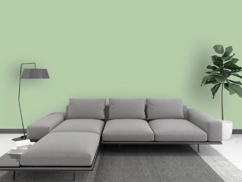 Kalkfarbe INNEN 6 kg Agaven-Grün (30 m²)