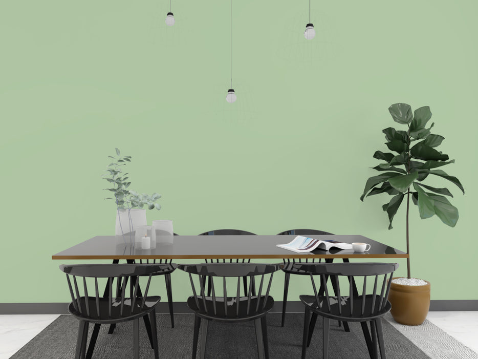 Kalkfarbe INNEN 6 kg Agaven-Grün (30 m²)
