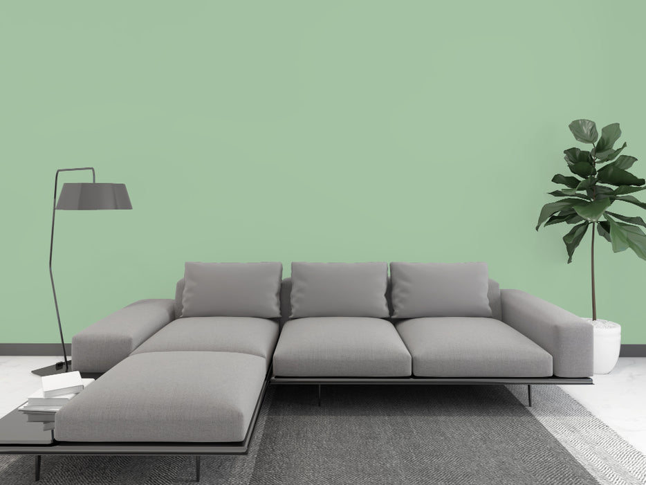 Kalkfarbe INNEN 6 kg Agaven-Grün (30 m²)