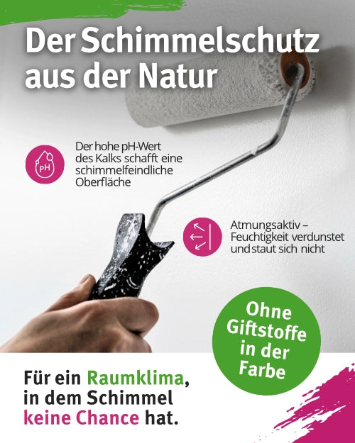 Anti-Schimmelfarbe - Kalkfarbe mit Anti-Schimmel-Formel  5l / ca. 35 m²