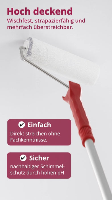 Anti-Schimmelfarbe - Kalkfarbe mit Anti-Schimmel-Formel  10l / ca. 70 m²