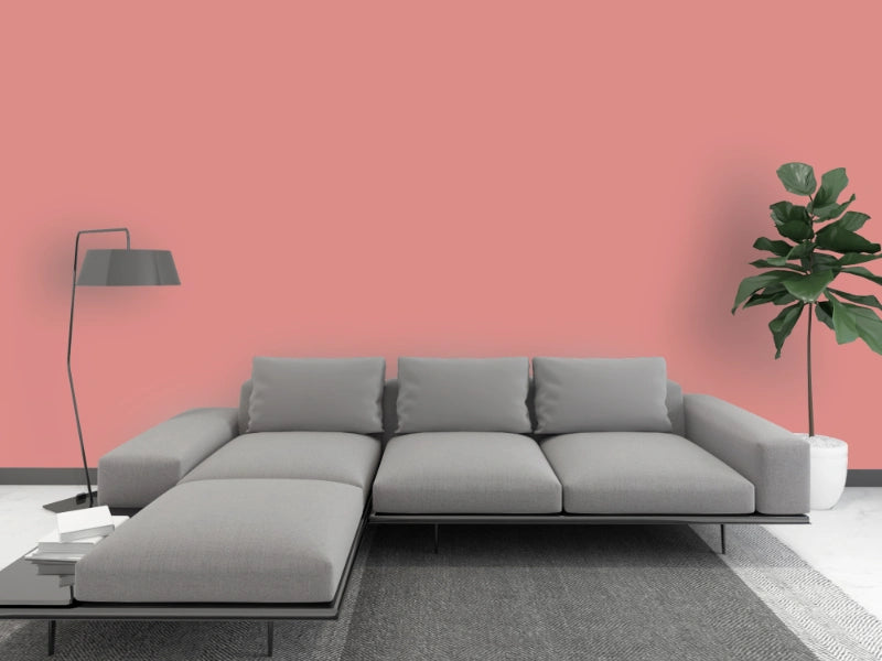 Kalkfarbe INNEN 6 kg Beeren-Rot (30 m²)