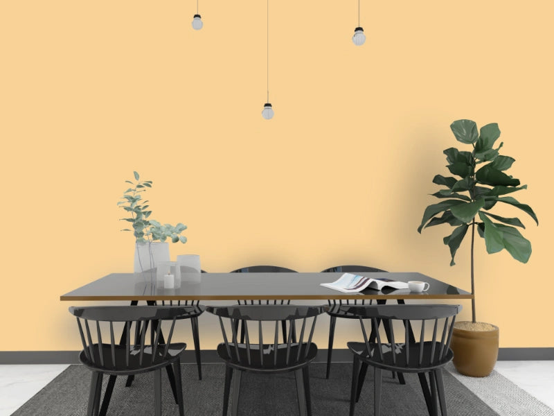 Kalkfarbe INNEN 21 kg Bernstein-Ocker (100 m²)