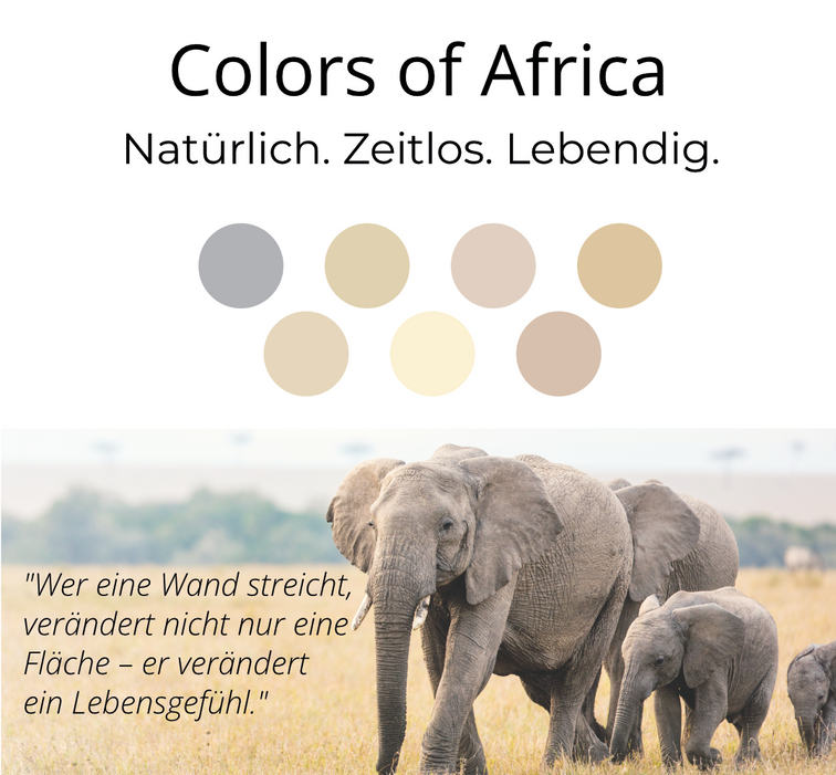 Kalkfarbe INNEN Sand-Beige 6 kg (30 m²)
