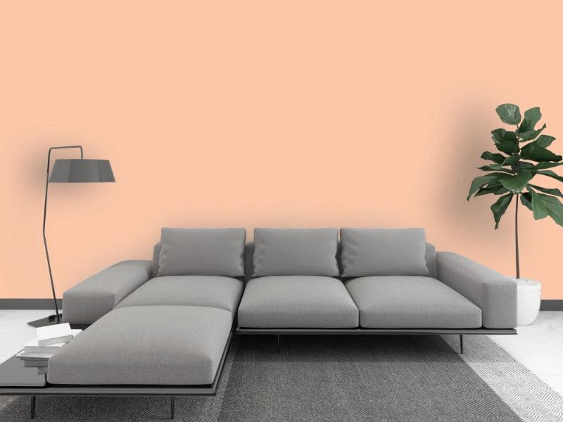 Kalkfarbe INNEN 21 kg Carneol-Terrakotta (100 m²)