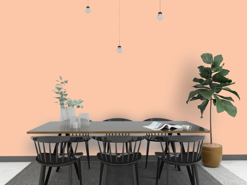 Kalkfarbe INNEN 21 kg Carneol-Terrakotta (100 m²)