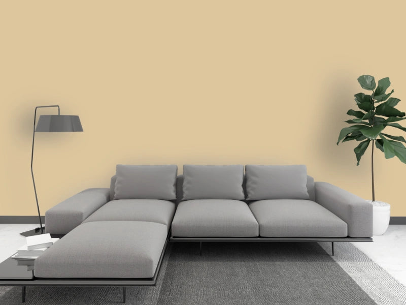 Kalkfarbe INNEN Gold-Gras 6 kg (30 m²)