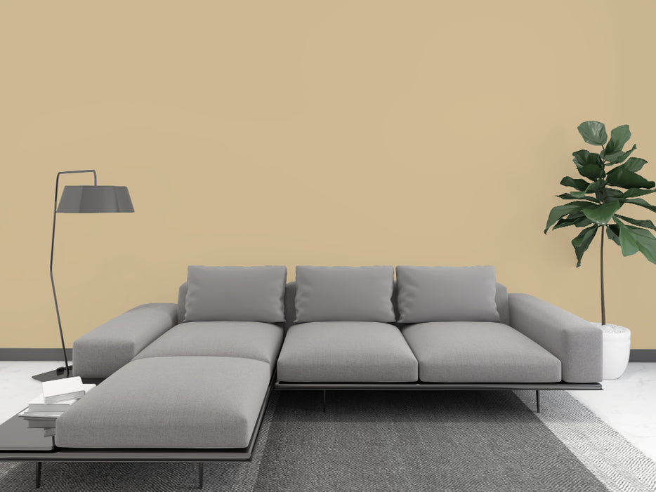Kalkfarbe INNEN Gold-Gras 14 kg (65 m²)