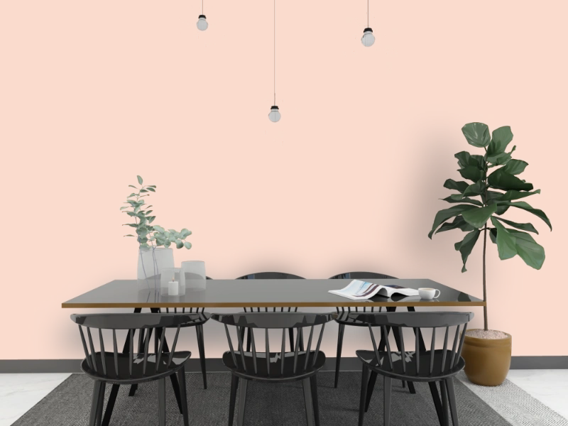 Kalkfarbe INNEN 21 kg Kunzit-Rosa (100 m²)