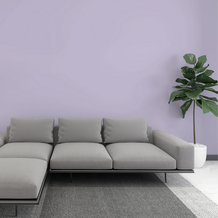 Kalkfarbe INNEN 21 kg Lavendel-Lila (100 m²)