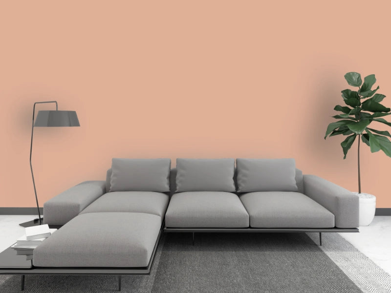 Kalkfarbe INNEN 21 kg Mookait-Braun (100 m²)