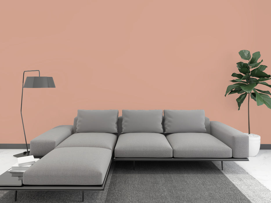 Kalkfarbe INNEN 14 kg Mookait-Braun (65 m²)
