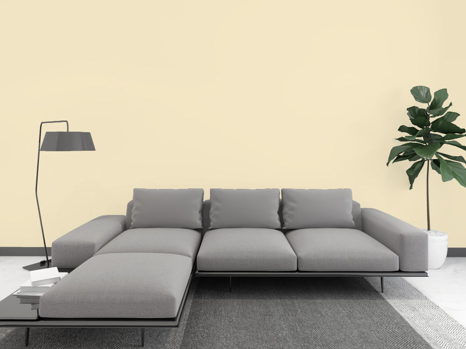 Kalkfarbe INNEN Savannen-Ocker 14 kg (65 m²)