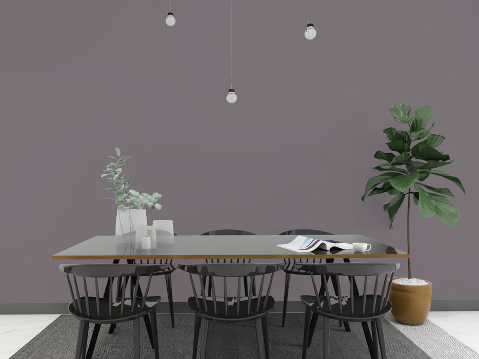 Kalkfarbe INNEN Schiefer-Grau 14 kg (65 m²)