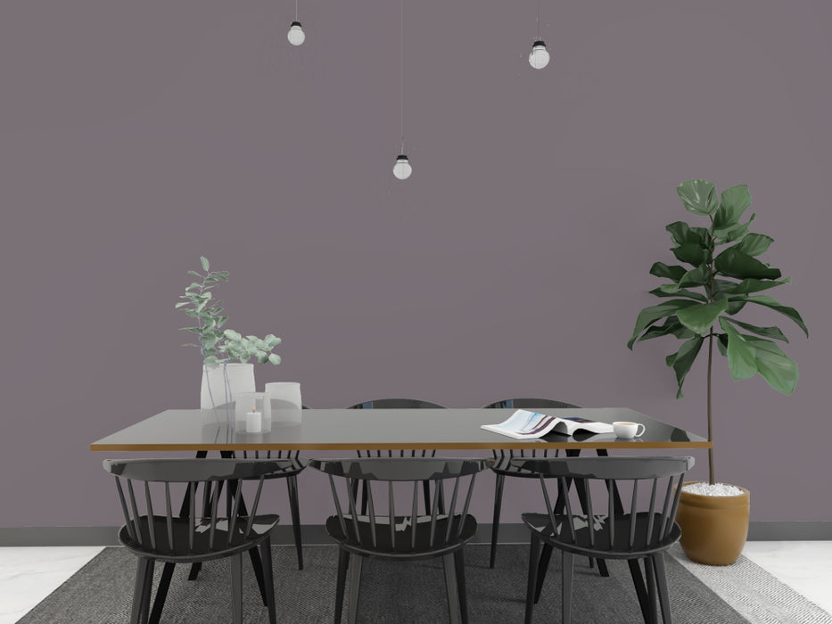 Kalkfarbe INNEN Schiefer-Grau 14 kg (65 m²)