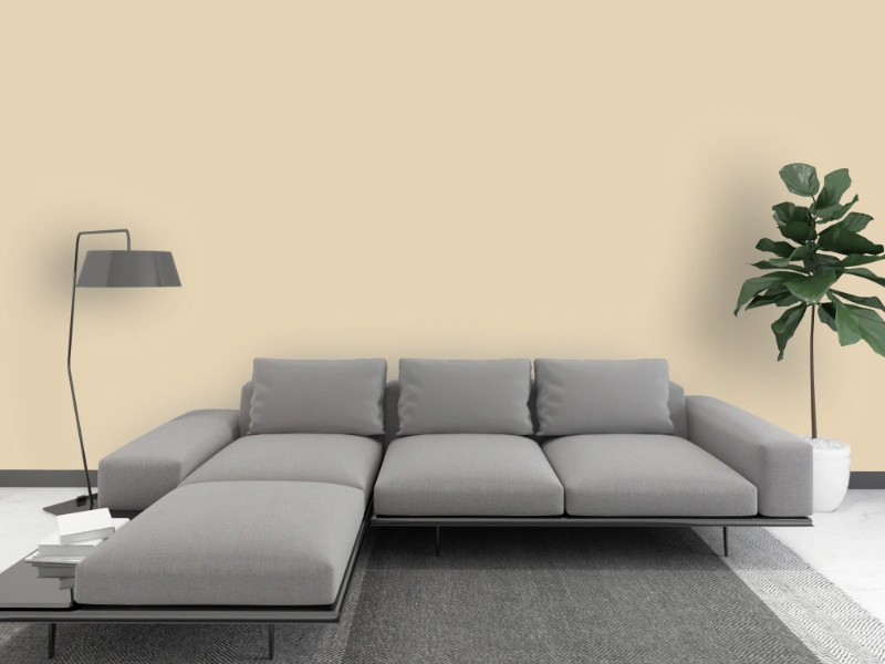 Kalkfarbe INNEN Steppen-Beige 6 kg (30 m²)