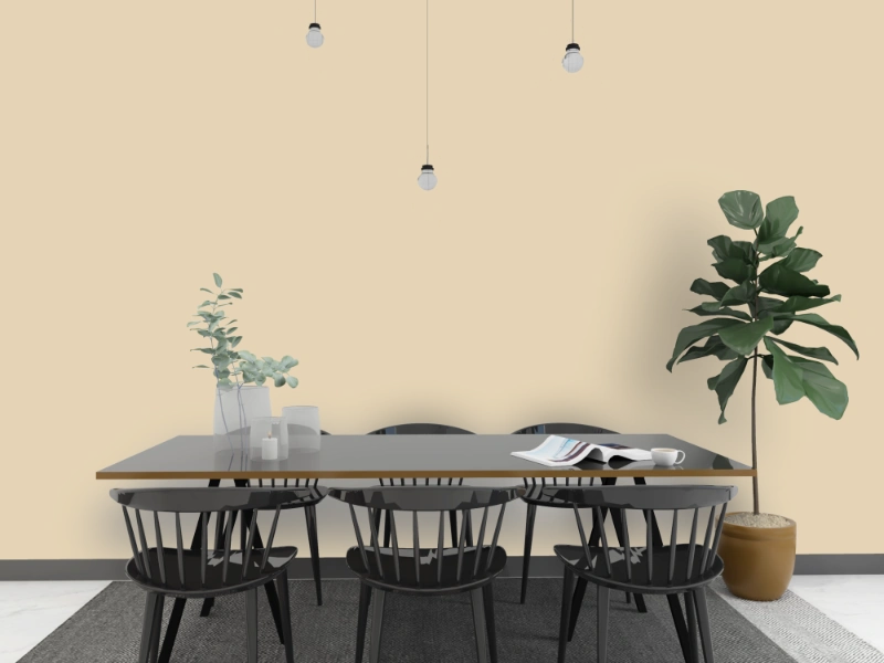 Kalkfarbe INNEN Steppen-Beige 6 kg (30 m²)
