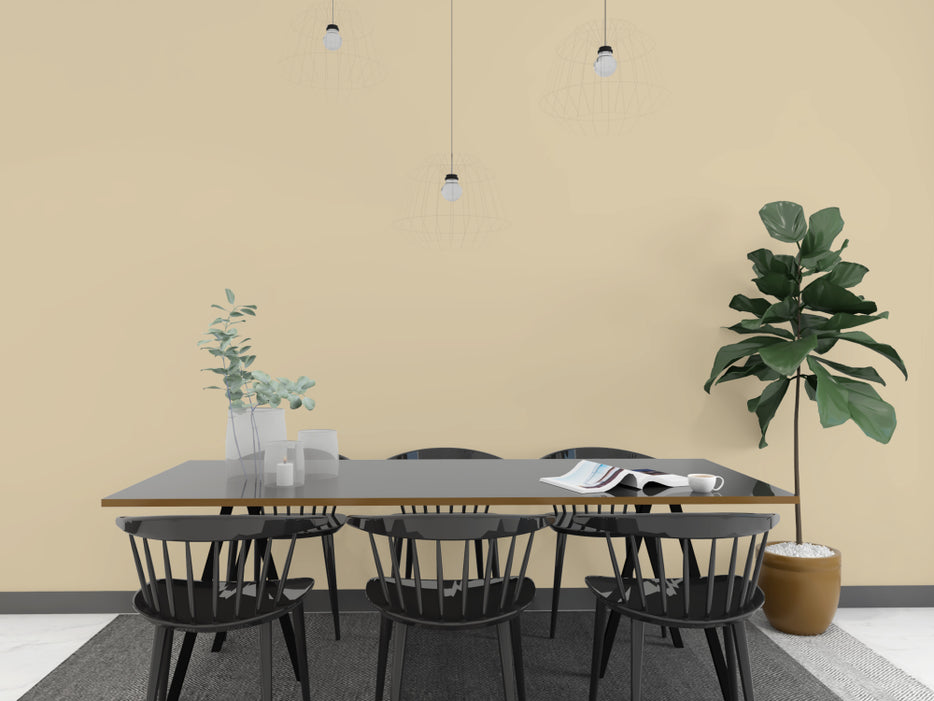 Kalkfarbe INNEN Steppen-Beige 21 kg (100 m²)