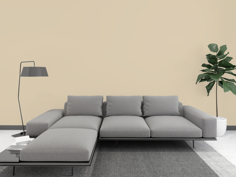 Kalkfarbe INNEN Steppen-Beige 21 kg (100 m²)