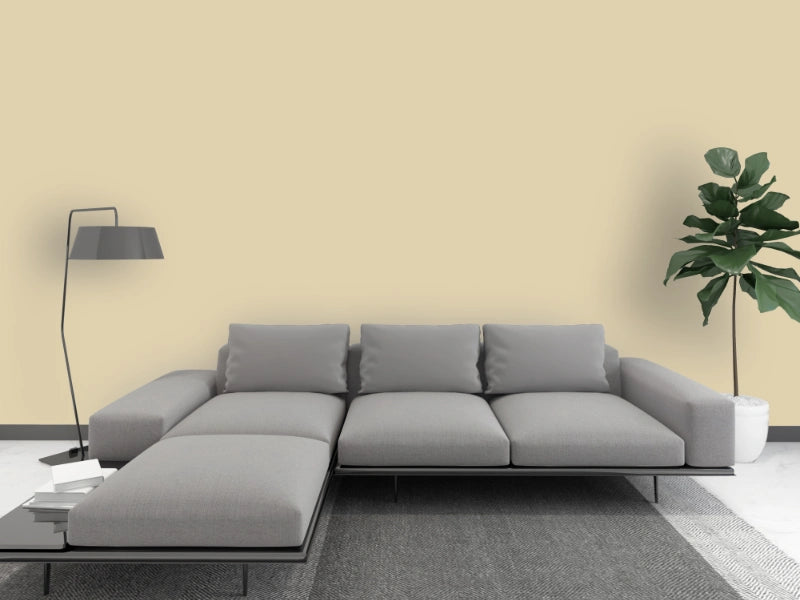 Kalkfarbe INNEN Sumpf-Grün 21 kg (100 m²)