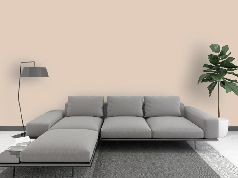 Kalkfarbe INNEN Wüstenschleier 21 kg (100 m²)