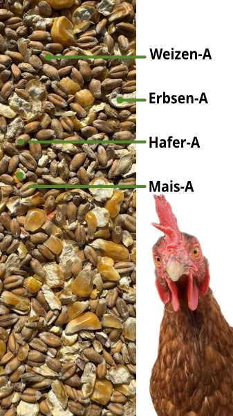 Premium Hühnerfutter 3 kg
