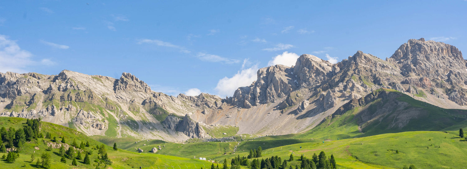 Berg Panorama mit einer großen Grünfläche im Vordergrund